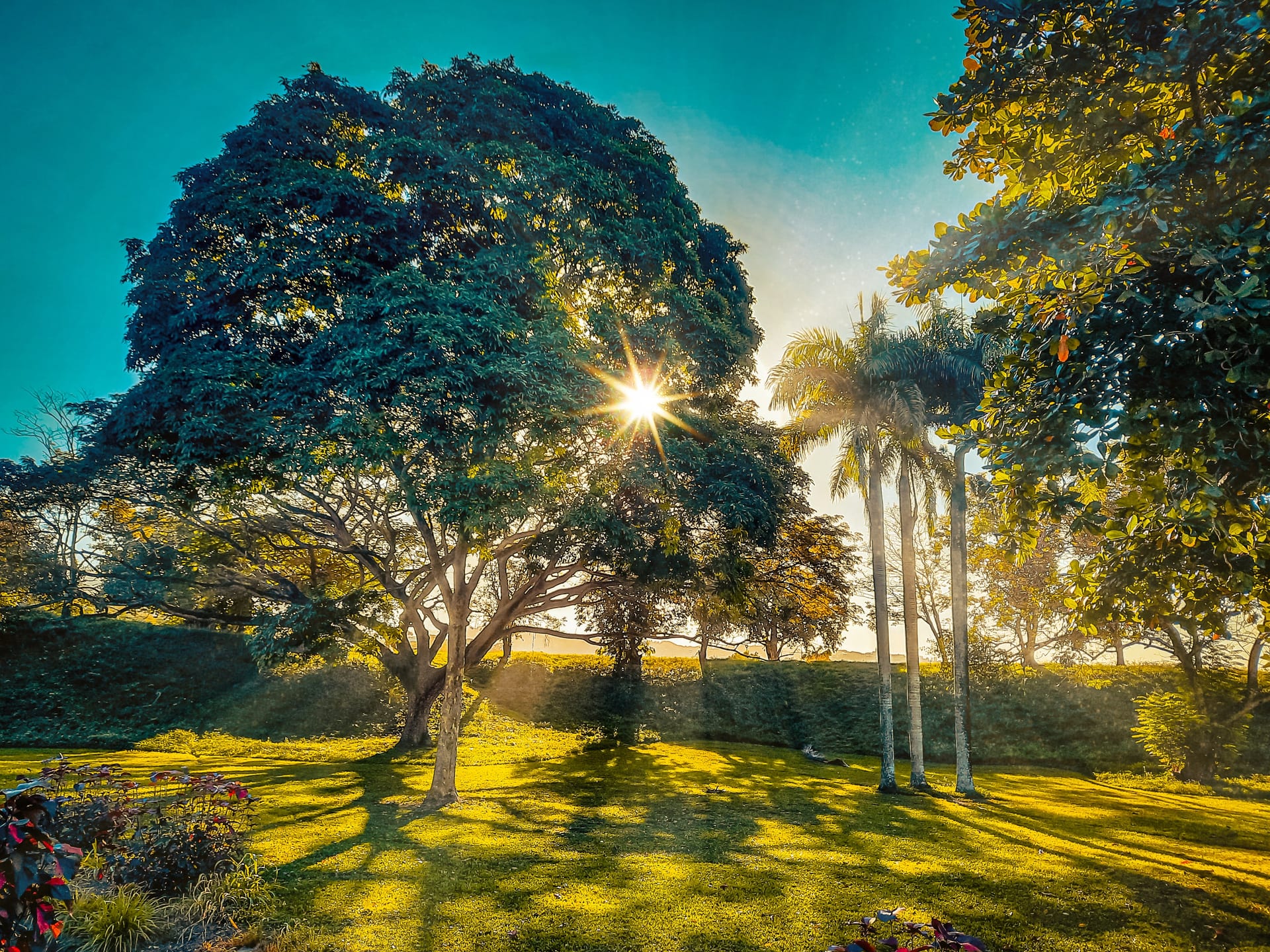 Ecología verde